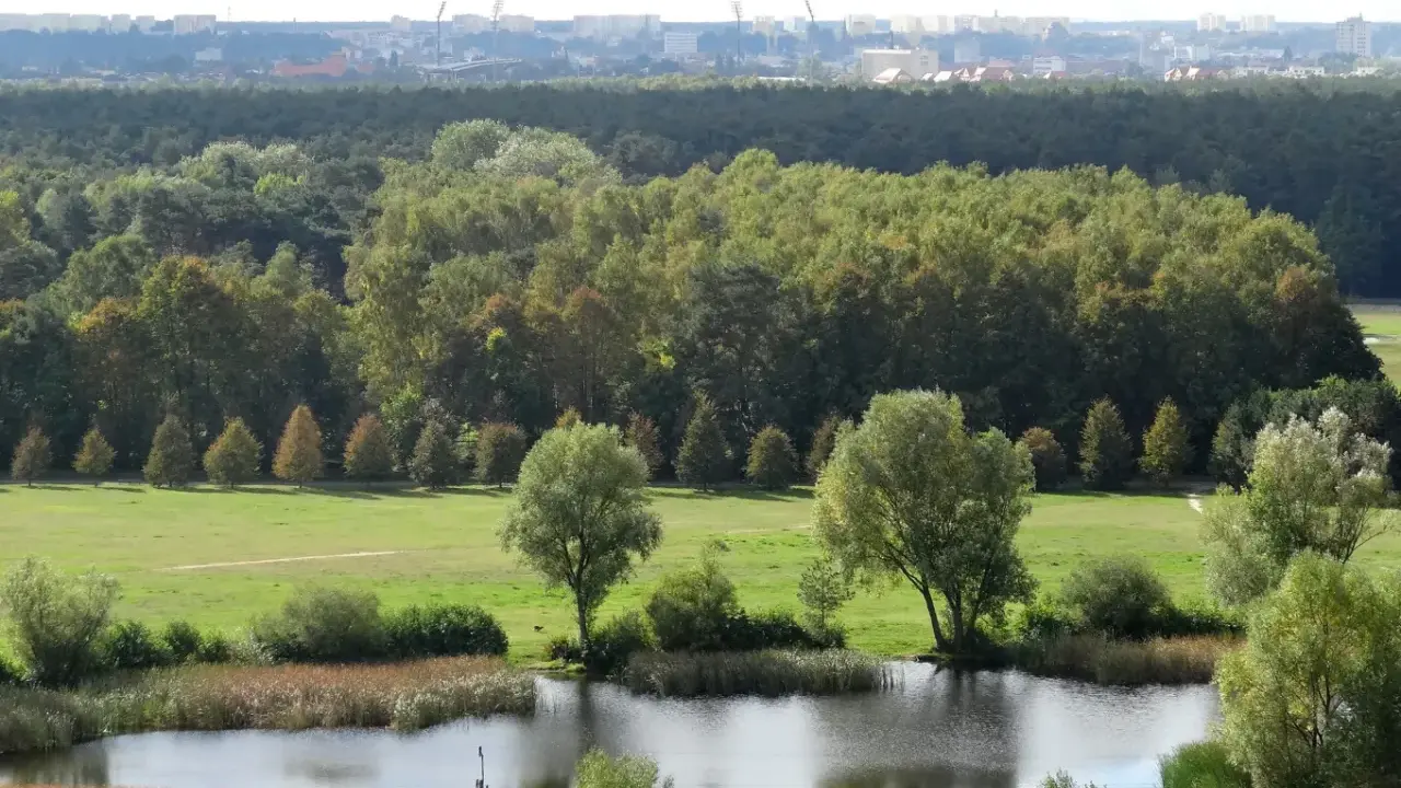 Krajobraz z jeziorem i drzewami, w tle las i miasto. To największy park miejski w Polsce, oferujący spokój i zieleń.