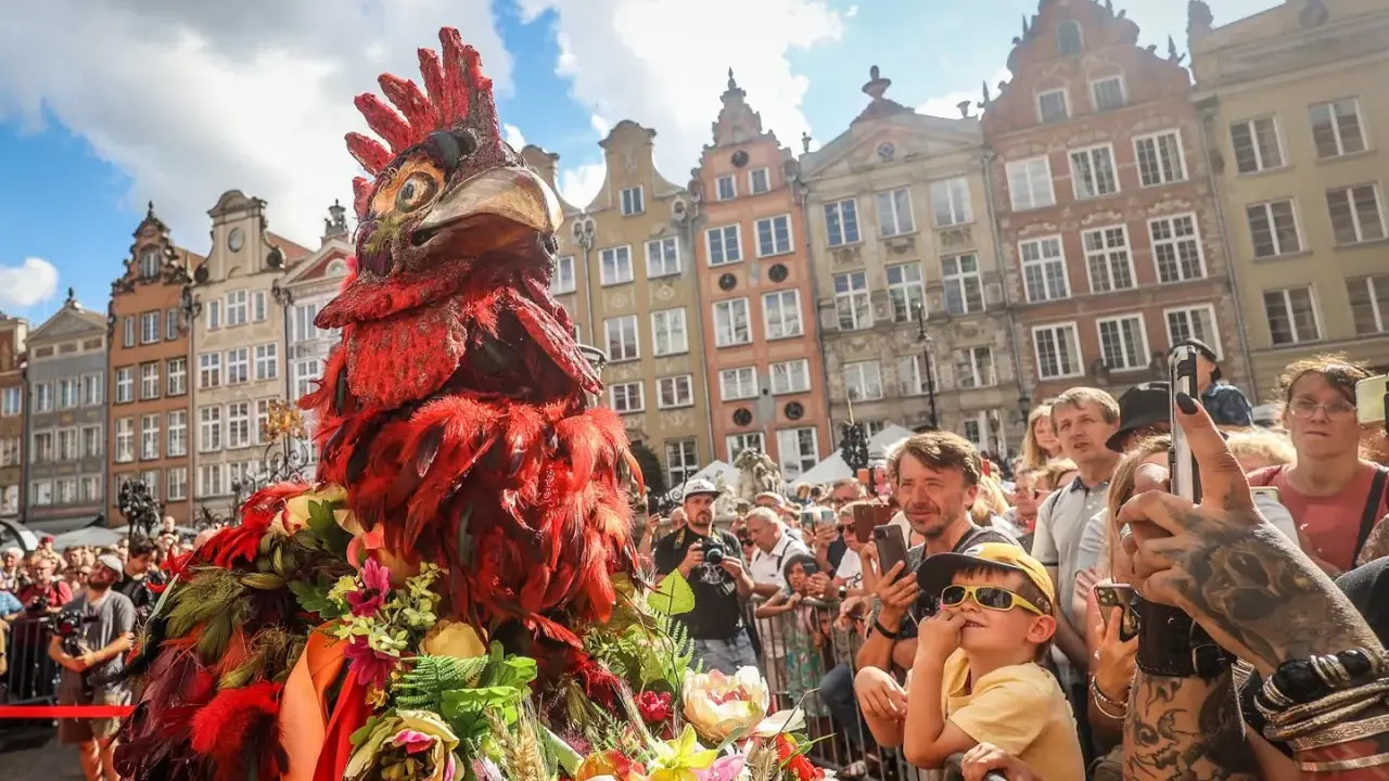Kolorowy kogut na Jarmarku Dominikańskim w Gdańsku, tłum ludzi z aparatami, piękne kamienice w tle.