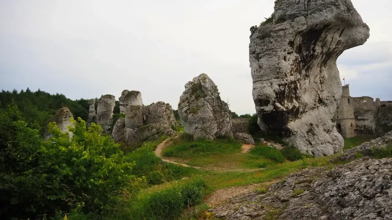 Skały wapienne i ruiny zamku na tle nieba. Jura Krakowsko-Częstochowska zachwyca krajobrazem.