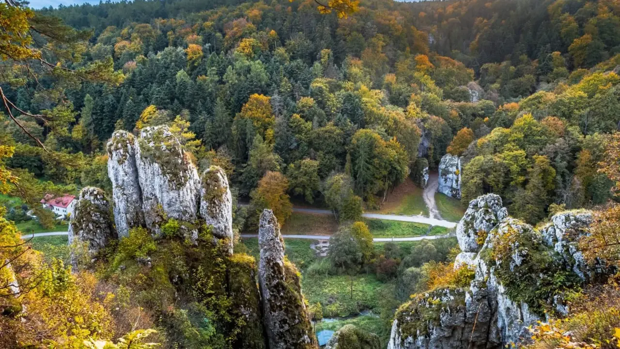 Jesienne barwy w Ojcowskim Parku Narodowym. Wapienne skały porośnięte mchem i roślinnością, otoczone lasem w złotych i zielonych odcieniach.