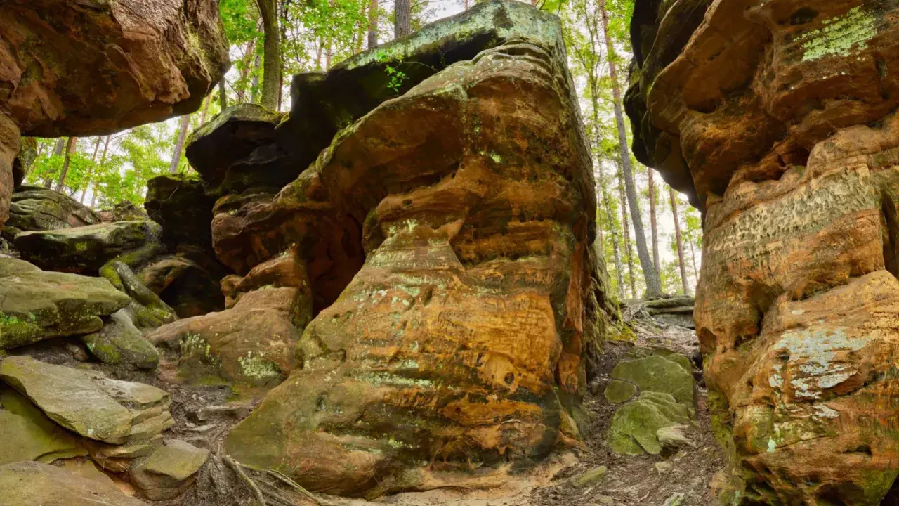 Wąwóz z piaskowca, porośnięty mchem i porostami, przypomina scenerię piekła niekłańskiego. Wąskie przejście między skałami, drzewa w tle.