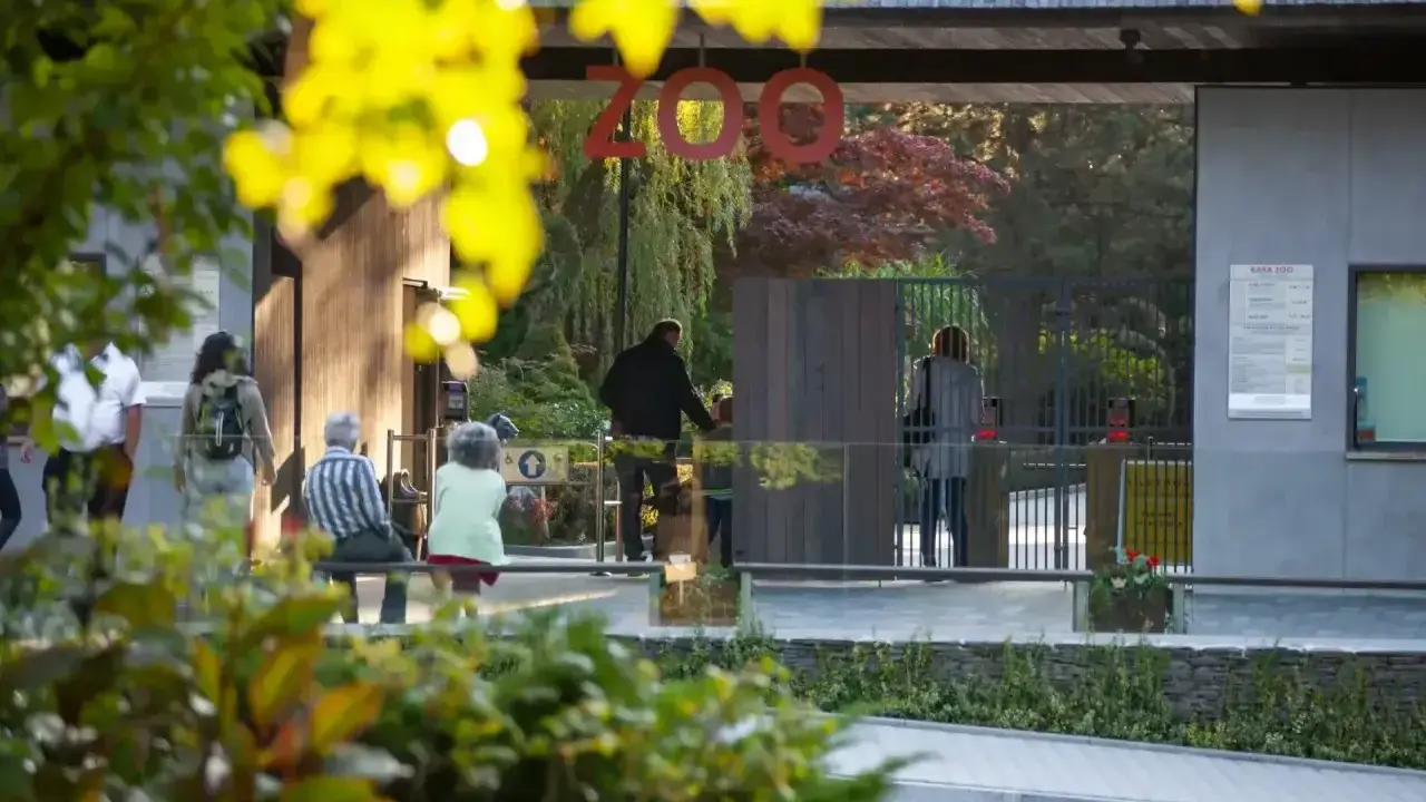 Wejście do największego zoo w Polsce. Ludzie wchodzą przez bramę, a nad nimi wisi napis "ZOO".