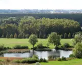Krajobraz z jeziorem i drzewami, w tle las i miasto. To największy park miejski w Polsce, oferujący spokój i zieleń.