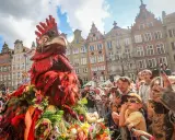 Kolorowy kogut na Jarmarku Dominikańskim w Gdańsku, tłum ludzi z aparatami, piękne kamienice w tle.