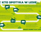 Dzikie zwierzęta w Polsce: wilk, niedźwiedź, żmija, lis, żubr, dzik. Zachowaj dystans, nie dokarmiaj, nie prowokuj.