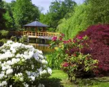 Piękne ogrody kwiatowe w Polsce: białe rododendrony, czerwony klon japoński i altana nad wodą.