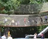 Wesoły park linowy dla dzieci z mostkami i zjeżdżalnią. Dorośli i dzieci bawią się na wysokości, ciesząc się letnim dniem.