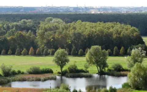 Krajobraz z jeziorem i drzewami, w tle las i miasto. To największy park miejski w Polsce, oferujący spokój i zieleń.