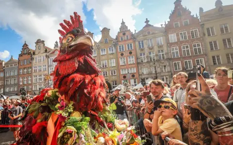 Kolorowy kogut na Jarmarku Dominikańskim w Gdańsku, tłum ludzi z aparatami, piękne kamienice w tle.