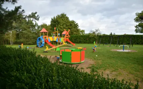 Kolorowy plac zabaw z karuzelą i huśtawkami, idealny dla dzieci odwiedzających farmę strusi Kniewo.