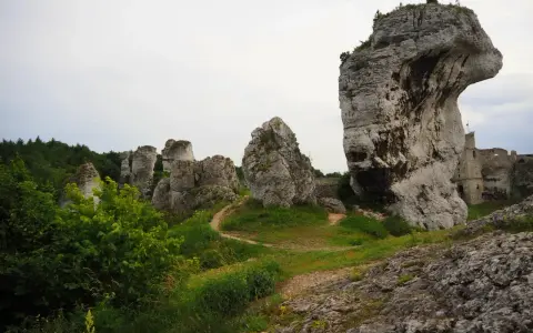 Skały wapienne i ruiny zamku na tle nieba. Jura Krakowsko-Częstochowska zachwyca krajobrazem.