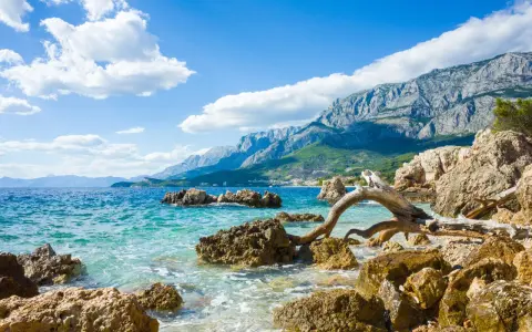 Chorwacja co warto zobaczyć: skalista plaża z turkusową wodą, góry w tle i dryfujące drewno. Idealne miejsce na bloga podróżniczego.