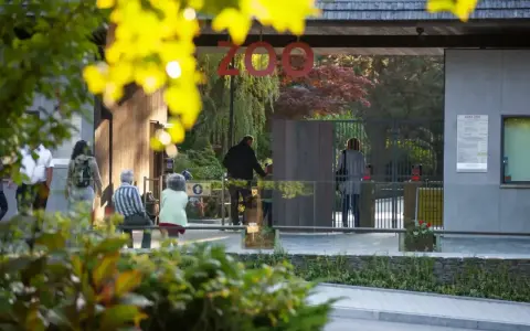 Wejście do największego zoo w Polsce. Ludzie wchodzą przez bramę, a nad nimi wisi napis "ZOO".