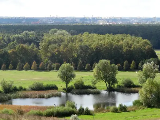 Krajobraz z jeziorem i drzewami, w tle las i miasto. To największy park miejski w Polsce, oferujący spokój i zieleń.