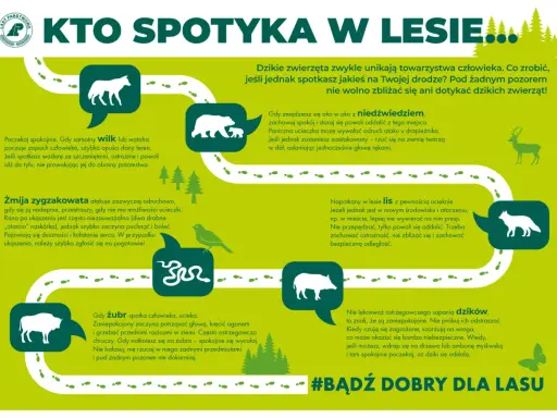 Dzikie zwierzęta w Polsce: wilk, niedźwiedź, żmija, lis, żubr, dzik. Zachowaj dystans, nie dokarmiaj, nie prowokuj.
