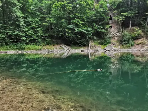 Kamienne ruiny zamku nad spokojnym, zielonym jeziorkiem Daisy, otoczone gęstym lasem.