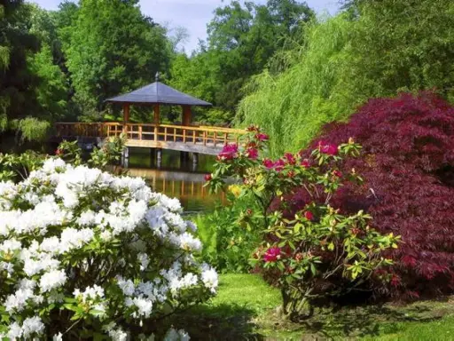 Piękne ogrody kwiatowe w Polsce: białe rododendrony, czerwony klon japoński i altana nad wodą.