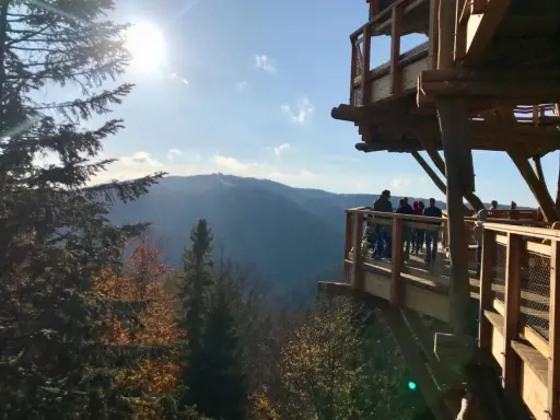 Rodzina podziwia jesienne **Beskidy z dzieckiem** na drewnianej wieży widokowej. Słońce przebija się przez drzewa.