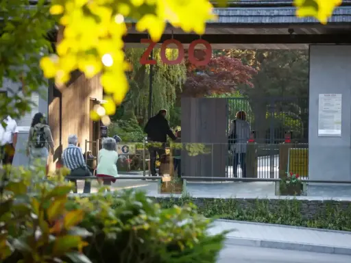 Wejście do największego zoo w Polsce. Ludzie wchodzą przez bramę, a nad nimi wisi napis "ZOO".