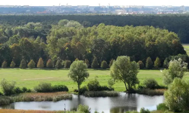 Krajobraz z jeziorem i drzewami, w tle las i miasto. To największy park miejski w Polsce, oferujący spokój i zieleń.