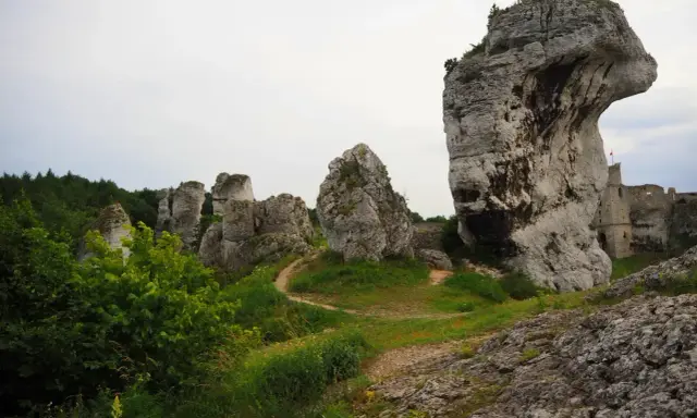 Skały wapienne i ruiny zamku na tle nieba. Jura Krakowsko-Częstochowska zachwyca krajobrazem.