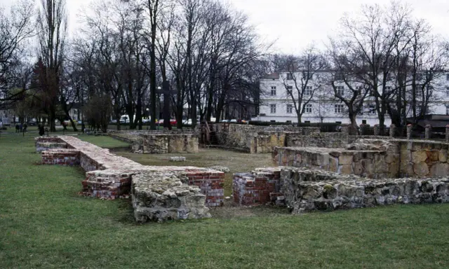 Ruiny zamku w Wieluniu, kamienne i ceglane mury na tle drzew i białego budynku.