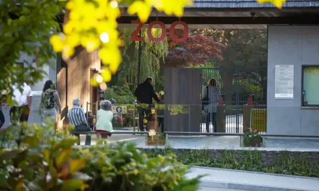 Wejście do największego zoo w Polsce. Ludzie wchodzą przez bramę, a nad nimi wisi napis "ZOO".
