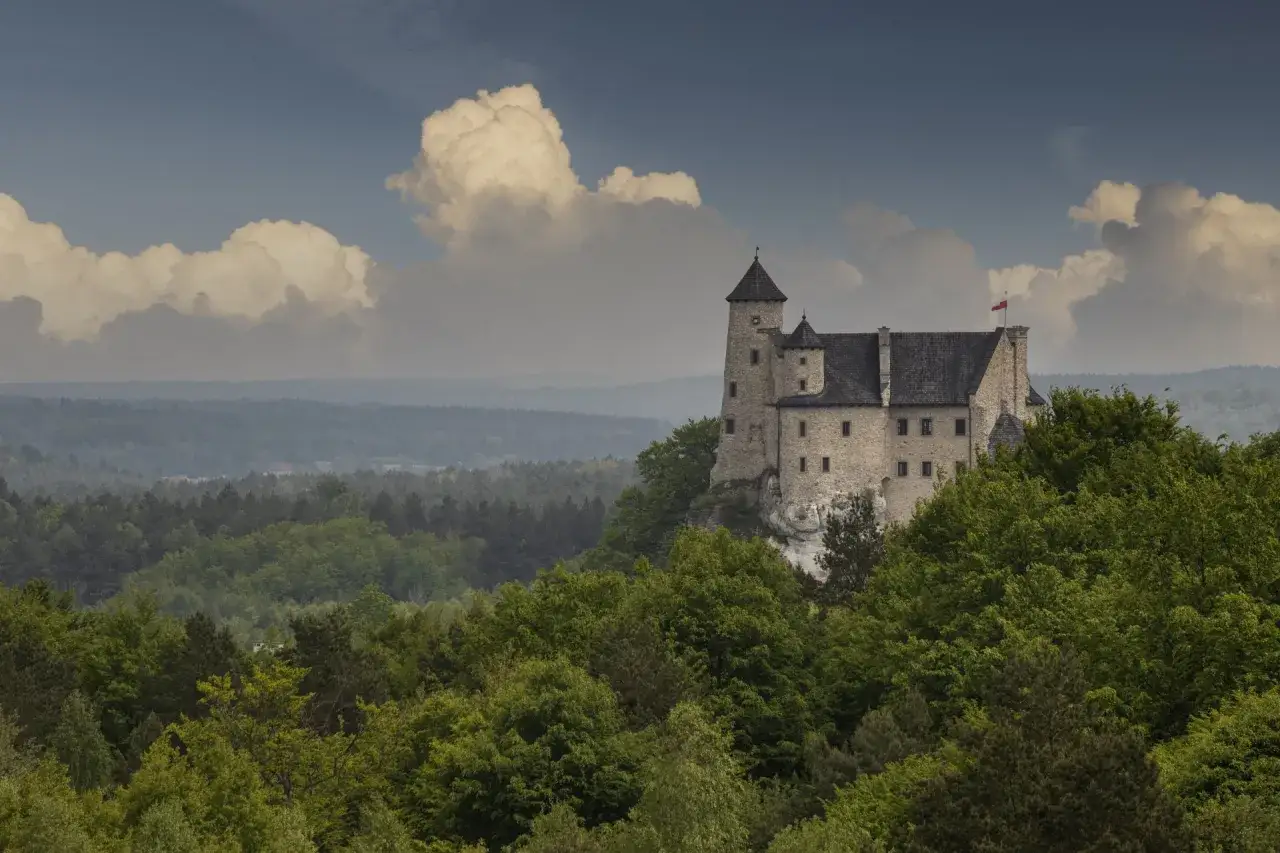 Zamek w Bobolicach, malowniczo położony na skale, otoczony lasami. Ciekawostki o jego historii i architekturze zachwycają.