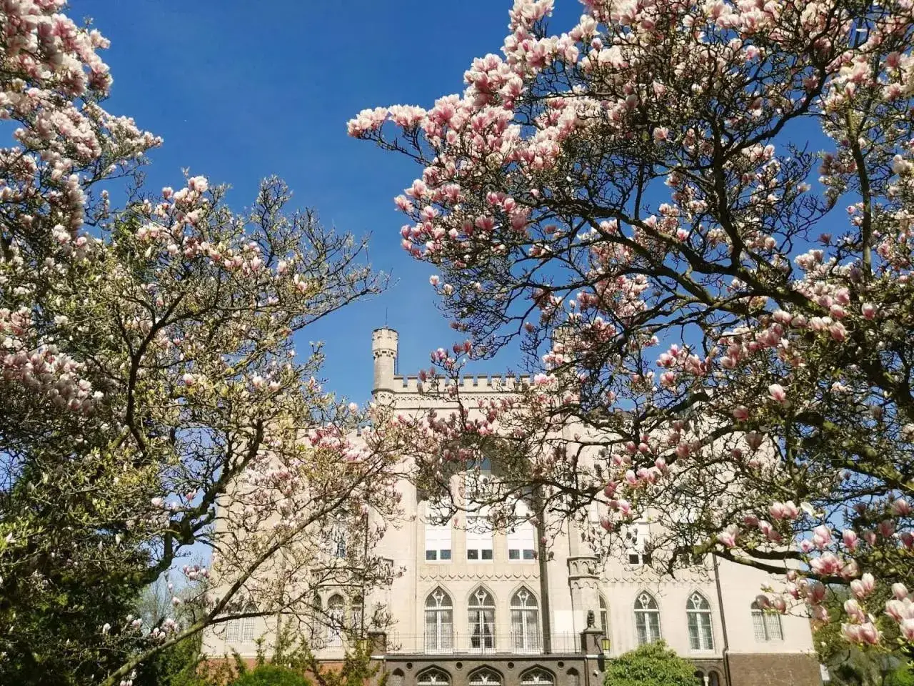 Zamek w K&oacute;rniku w rozkwicie magnolii. Ciekawostki o tym miejscu czekają na odkrycie wśr&oacute;d kwitnących drzew.