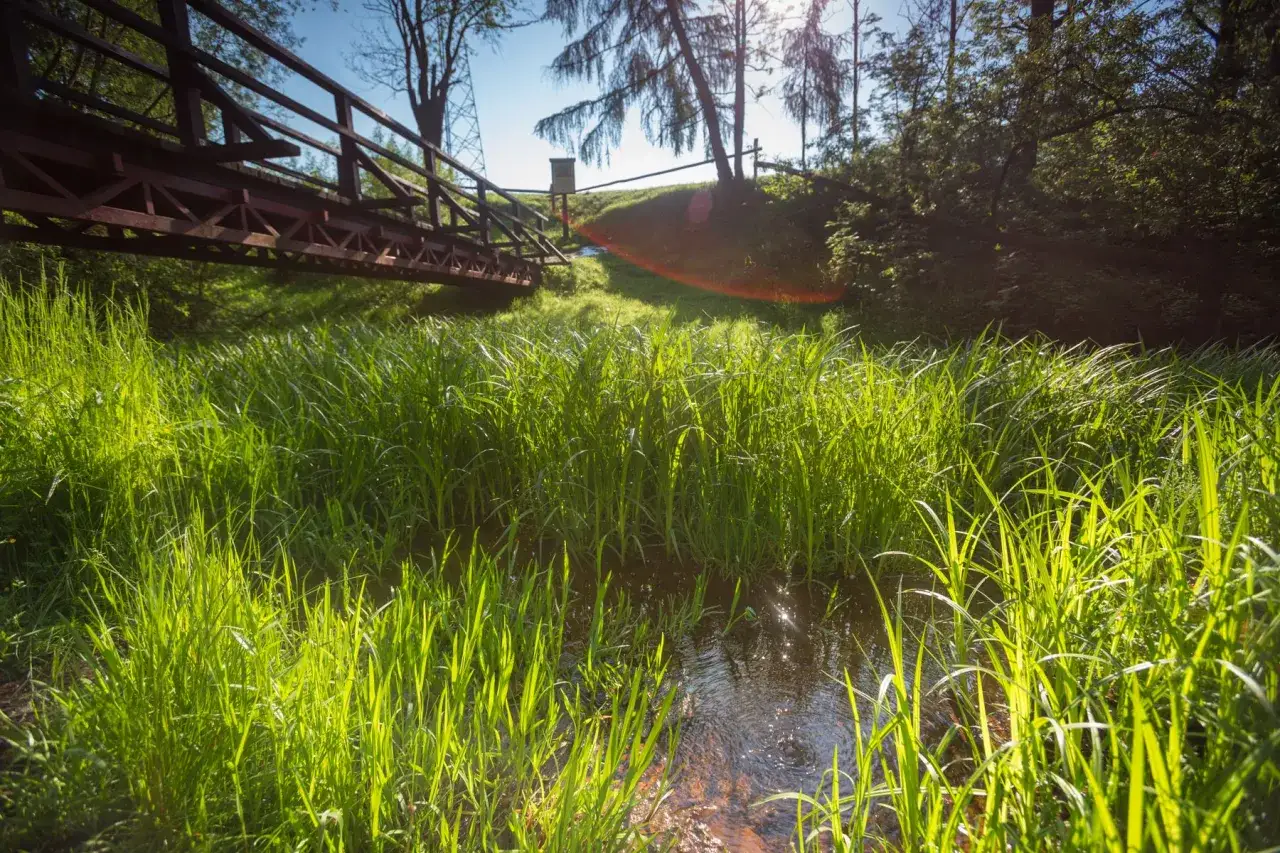 Mofeta w Jastrzębiku, ukryta wśród bujnej, zielonej trawy nad strumieniem. Drewniany mostek wznosi się nad wodą, a słońce przebija się przez drzewa.